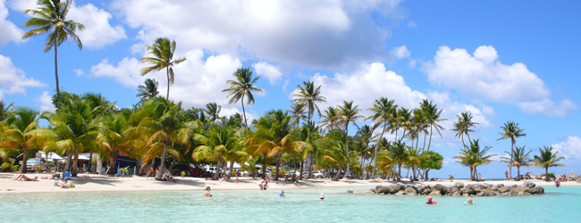 Palmen gesäumter Strand mit türkisfarbenem Wasser in Sainte Anne auf Guadeloupe während einer Sprachreise