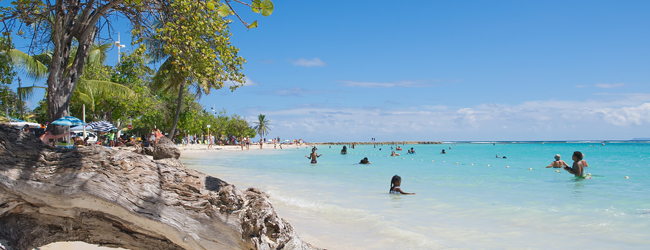 Menschen genießen das klare, türkisfarbene Wasser an einem tropischen Strand in Sainte Anne auf Guadeloupe während einer LISA! Sprachreise