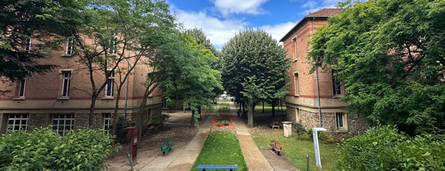 Pause im grünen Innenhof bei einem LISA! Sprachkurs für Schüler in Paris Blick in den Innenhof mit Bäumen und Nachbargebäuden bei einem Französisch-Sprachkurs für Schüler in Paris