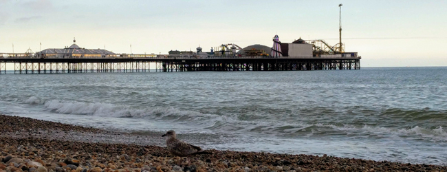 LISA-Sprachreisen-Young-Adults-Englisch-England-Brighton-16-Plus-Strand-Pier-Moewe-Wellen